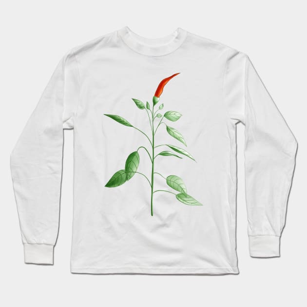 Hot Chili Pepper Plant Botanical Drawing Long Sleeve T-Shirt by Boriana Giormova